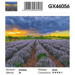 GX 46056