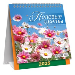 Календарь-Домик