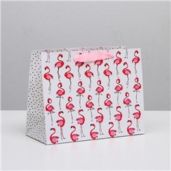 Пакет ламинированный горизонтальный «Фламинго», MS 23 × 18 × 10 см