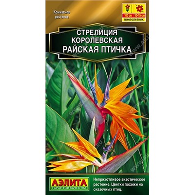 Стрелиция Райская птичка (Код: 91036)