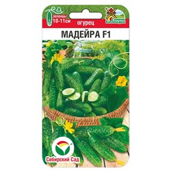 Огурец Мадейра F1 (Код: 92161)