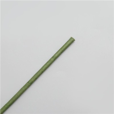 Проволока для изготовления искусственных цветов "Зелёная" длина 80 см сечение 5 мм