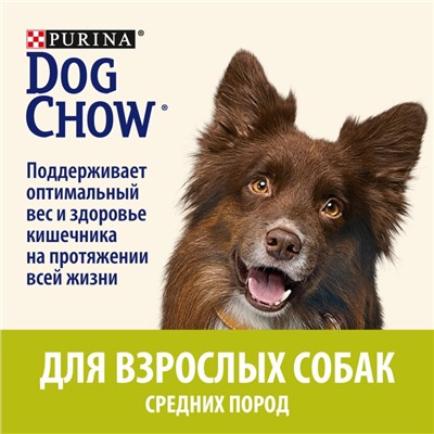 Сухой корм DOG CHOW для собак, ягненок, 14 кг