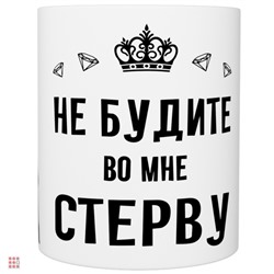 Кружка прикол "Не буди во мне стерву", 330мл