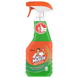 Средство для мытья стекол Mr. Muscle ТРИГГЕР спрей, 500мл