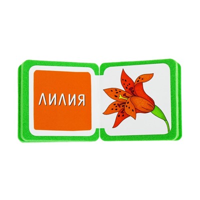 Мини-книжки. Что здесь растёт? На клумбе. Куликова Е. Н.