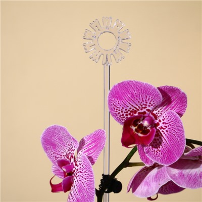 Опора для орхидей, h = 44 см, пластик, прозрачная, МИКС