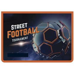 Папка для тетрадей А4 на молнии сверху 32,5х23х5,5 см ПМ-А4-29 "STREET FOOTBALL" Пчелка