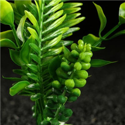 Растение искусственное аквариумное, 18 х 9 х 14 см, зелёное