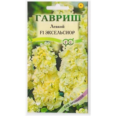 Левкой Эксельсиор F1 (Код: 9797)