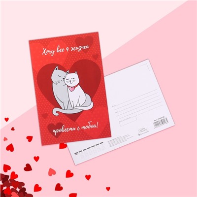 Почтовая карточка «Любовь», коты, 10 х 15 см