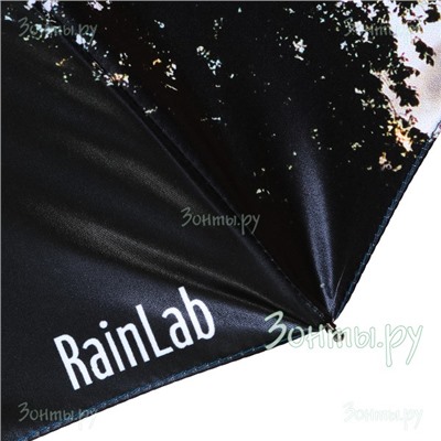 Зонт "Осеннее небо" RainLab 159