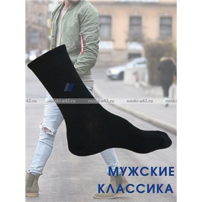Ростекс (Рус-текс) носки мужские В-21-с черные