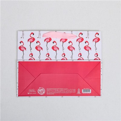 Пакет ламинированный горизонтальный «Фламинго», MS 23 × 18 × 10 см