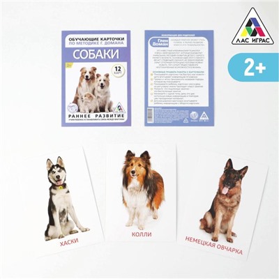 Обучающие карточки по методике Г. Домана «Собаки», 10 карт, А6