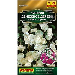 Лунария Денежное дерево смесь (Код: 92453)