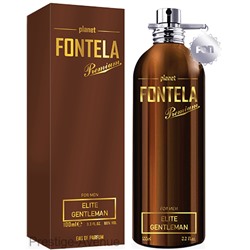 Fontela - Парфюмированная вода Elite Gentelman for men 100 мл