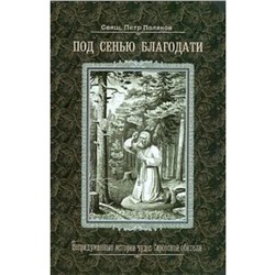 Под сенью благодати. Непридуманные истории чудес Саровской обители