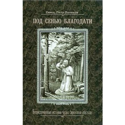 Под сенью благодати. Непридуманные истории чудес Саровской обители