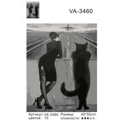 VA3460 Без подрамника картина по номерам 40*50
