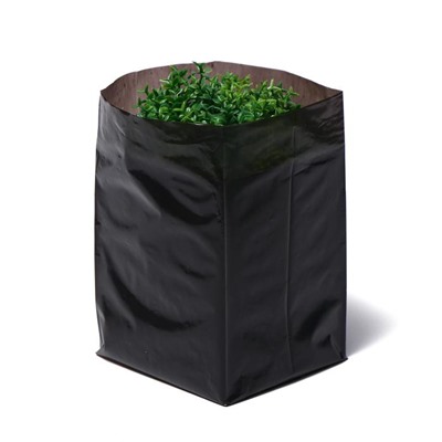 Пакет для рассады, 1 л, 9 × 18 см, полиэтилен толщиной 50 мкм, с перфорацией, чёрный, Greengo