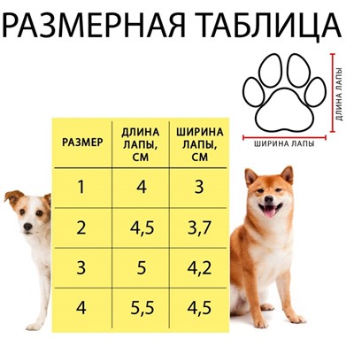 Ботинки Элеганс, набор 4 шт, размер 5 (подошва 6,2 х 5 см) розовые