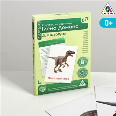 Обучающие карточки по методике Глена Домана «Динозавры», 12 карт, А6, в коробке