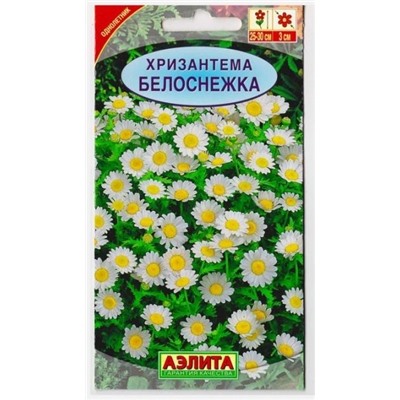 Хризантема Белоснежка (Код: 11760)