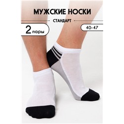 Носки мужские Лига (комплект 2 пары) серый