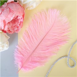 Перо для декора, размер: 20-24 см, цвет розовый