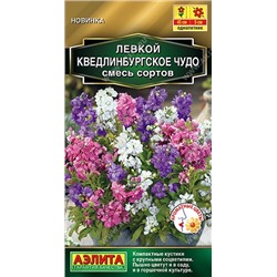 Левкой Кведлинбургское чудо смесь   (Код: 92451)