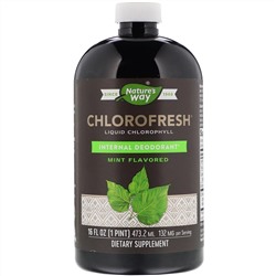 Nature's Way, Chlorofresh, жидкий хлорофилл, с ароматом мяты, 473,2 мл