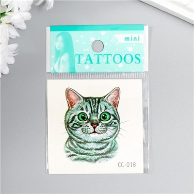 Татуировка на тело цветная "Породистый кот" МИКС 6х6 см