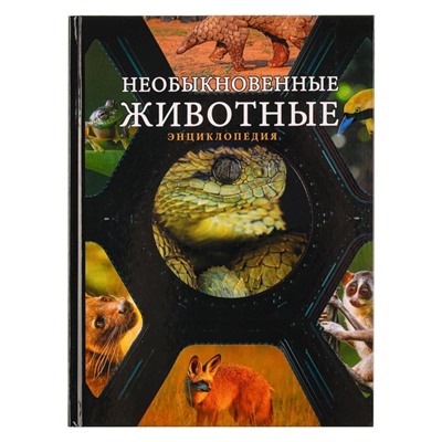 Книга "Энциклопедия", картон, бумага, 96 стр., 16,5х22см, 4 дизайна