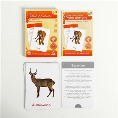 Обучающие карточки по методике Глена Домана «Животные жарких стран», 12 карт, А6, в коробке