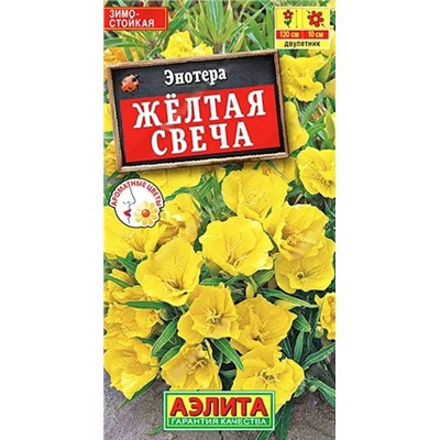 Энотера Желтая Свеча Аэлита