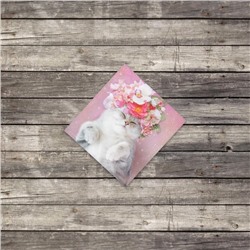 Мини–открытка «Кошка с цветами», 7 х 7 см