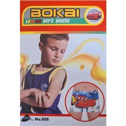 Боксеры детские Bokai 808