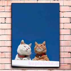 Постер «Cats on the roof» большой