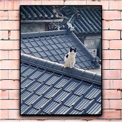 Постер «Кот на крыше» большой