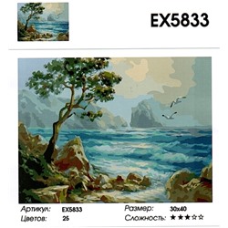 РЗ EХ5833 "Море, скалы, чайки", 30х40 см