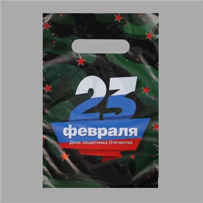 060-0099 Пакет "23 февраля", полиэтиленовый с вырубной ручкой, 20 х 30 см, 30 мк