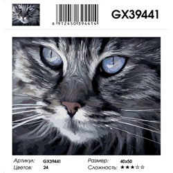GX 39441
