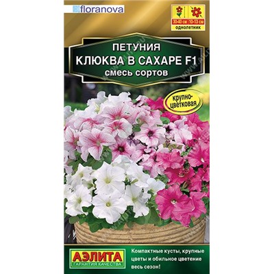 Петуния Клюква в сахаре F1 (Код: 90517)