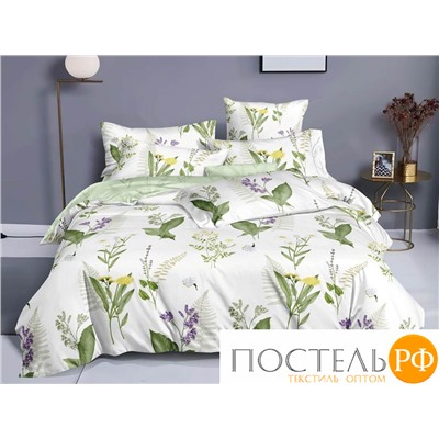 КПБ Cleo Поплин "Pure Cotton" евро 200*220*1 220*240*1(±5) 50*70*2(±2) 70*70*2(±2) 31/231-PC