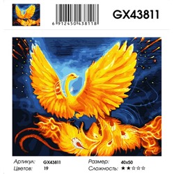 GX 43811