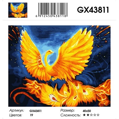 GX 43811