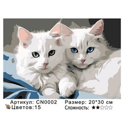 PH23 CN0002, 20х30 см