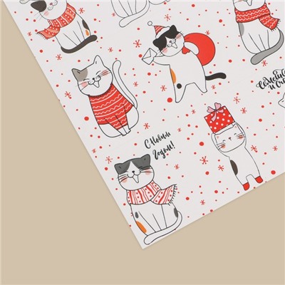 Наклейки бумажные «Котики», 11 × 15,5 см