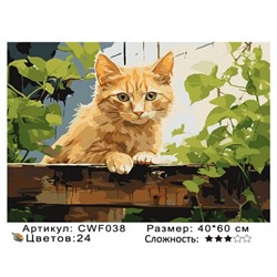 PH45 CWF038, 40х60 см